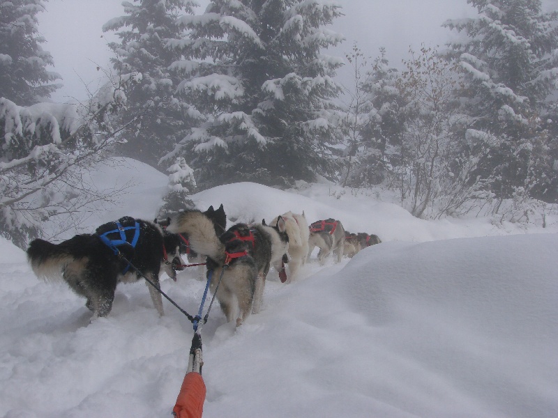 Saison neige 2013/2014